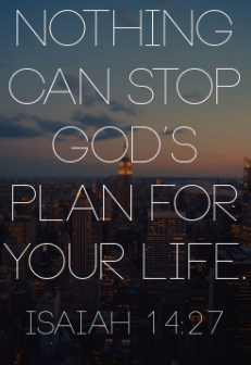 Screen Shot 2018-04-01 at 8.46.33 PM.png