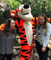 Screen Shot 2018-06-03 at 6.21.30 PM.png